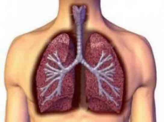Akciğer Su Toplaması Bitkisel Tedavisi
