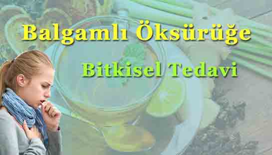 Balgaml ksrk Bitkisel Tedavi