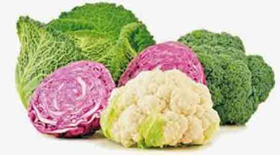 Kadınlarda İdrar Yolu Enfeksiyonu Bitkisel Tedavi